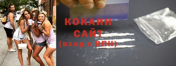 ГАЛЛЮЦИНОГЕННЫЕ ГРИБЫ Белокуриха