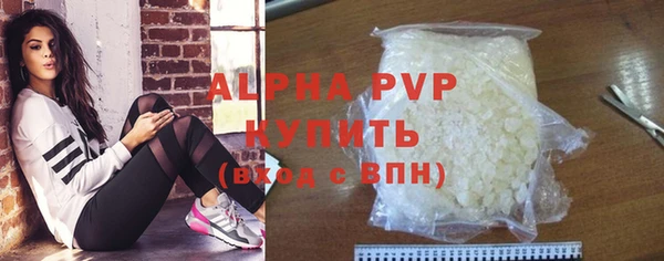 ГАЛЛЮЦИНОГЕННЫЕ ГРИБЫ Белокуриха